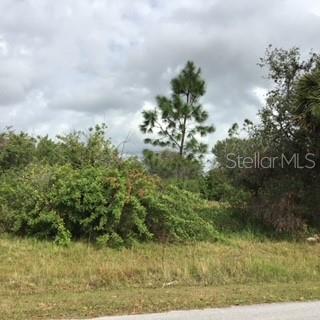 PERENNIAL RD - Photo 1