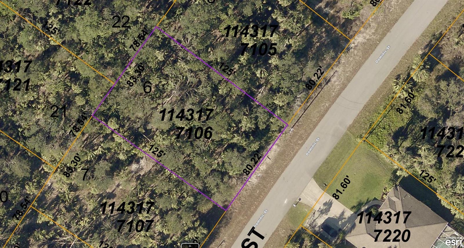1143177106 DOMINIC ST - Photo 1