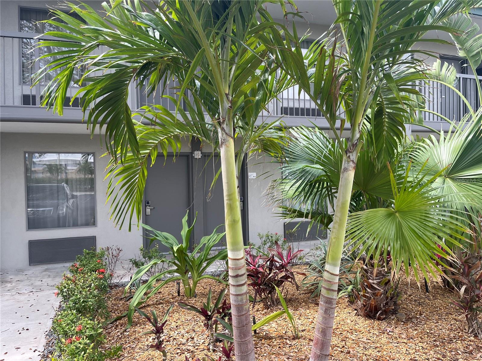 7150 N TAMIAMI TRL #S510 - Photo 1
