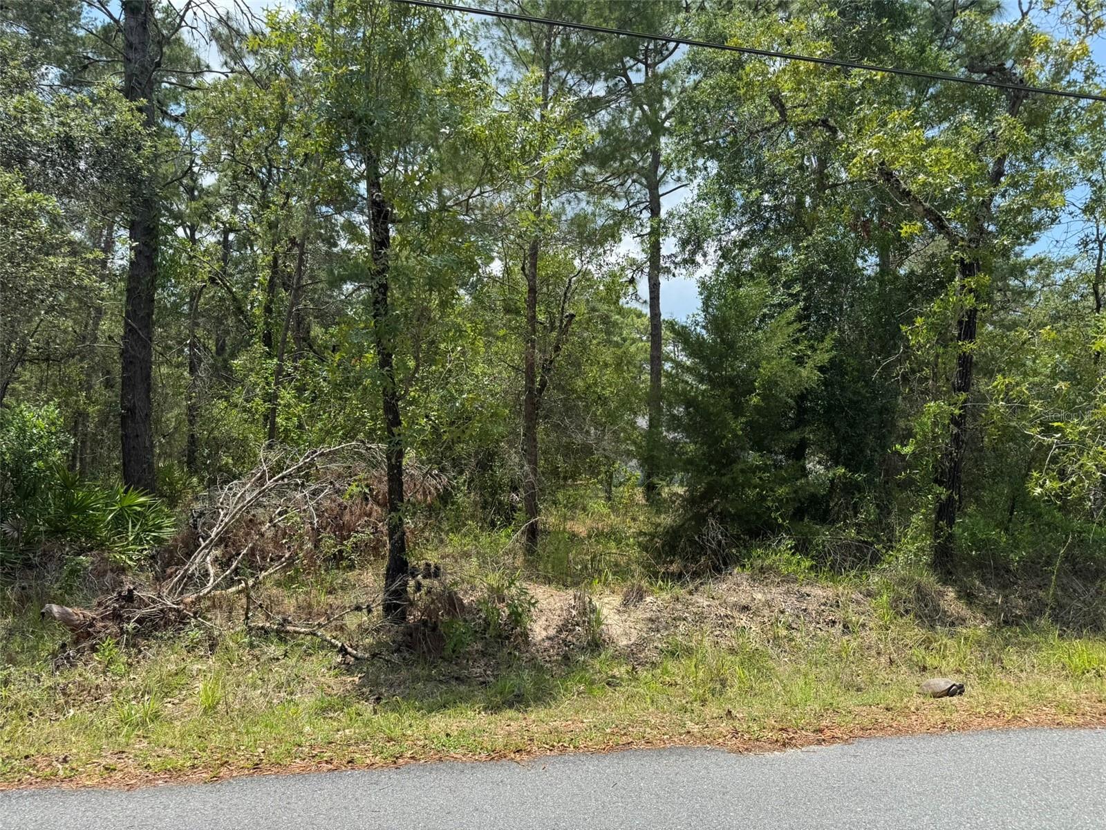 Lot 62 MICHIGAN AVE - Photo 1