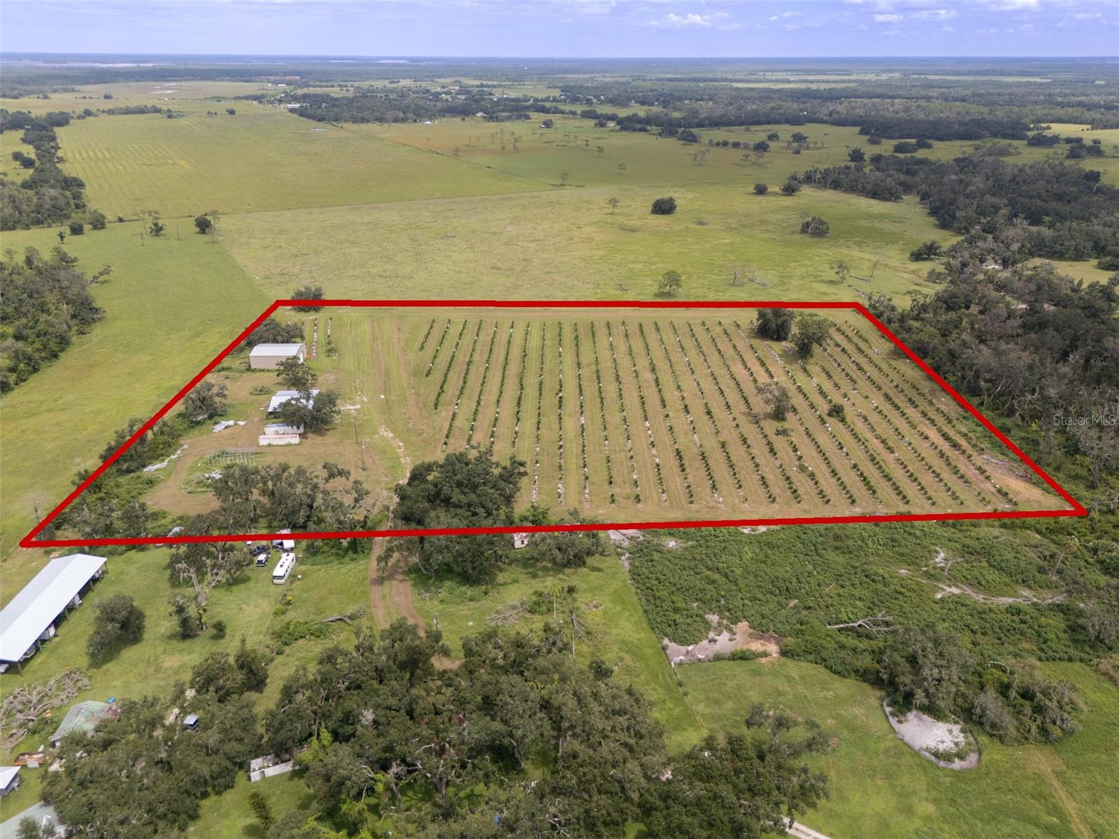 32715 SINGLETARY RD - Photo 1