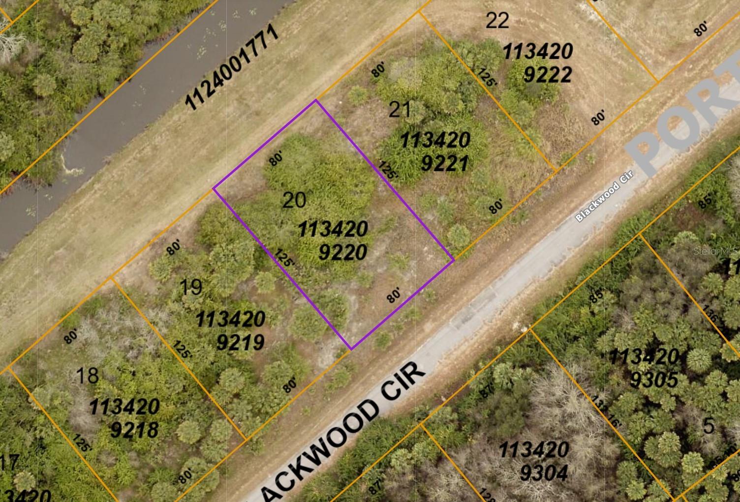 1134209220 BLACKWOOD CIR - Photo 1