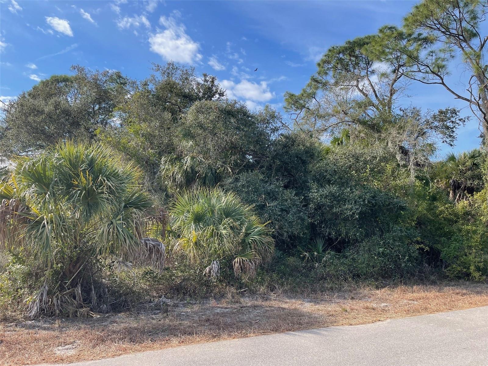 ABATE AVE #Lot 10 - Photo 1