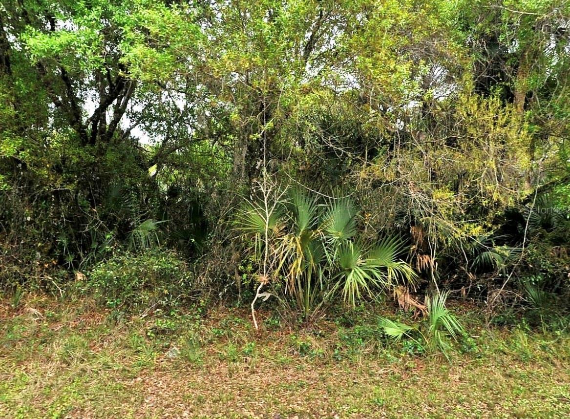 BACKERT RD. - Photo 1