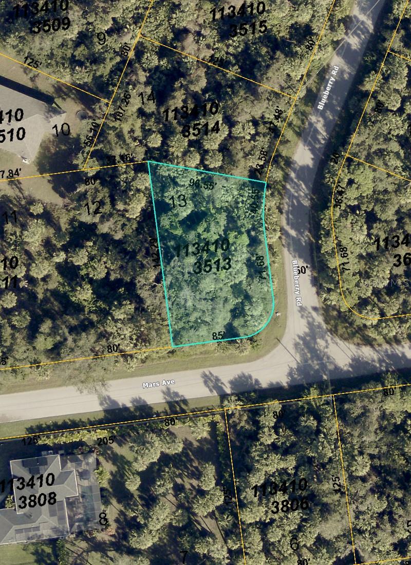 BLUEBERRY RD - Photo 1