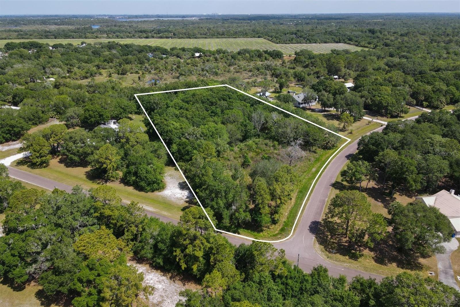1729 SHENANDOAH RD - Photo 1