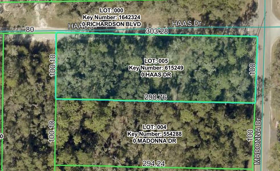 0 HAAS DR - Photo 1
