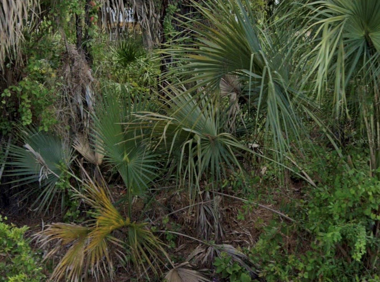 7879 GRAFTON RD - Photo 1