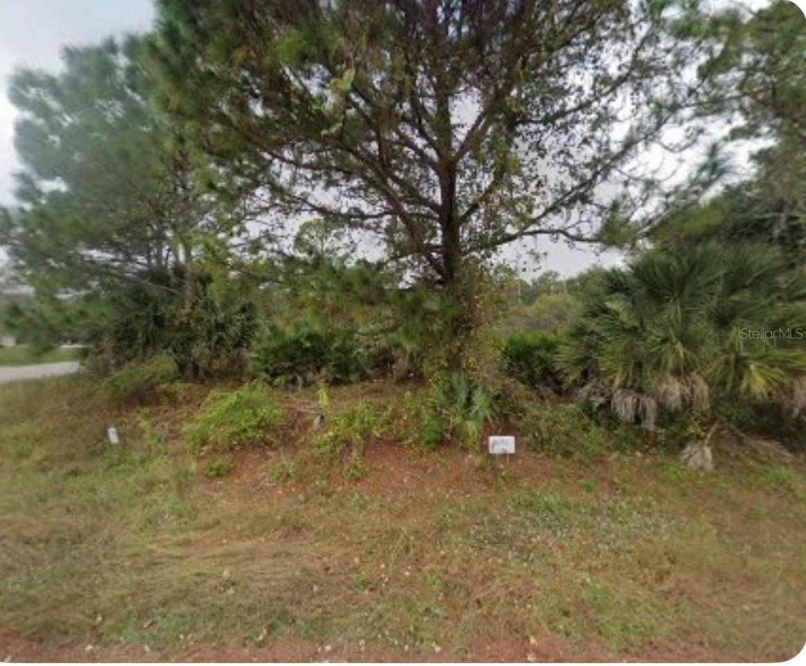 4804 HADER RD - Photo 1