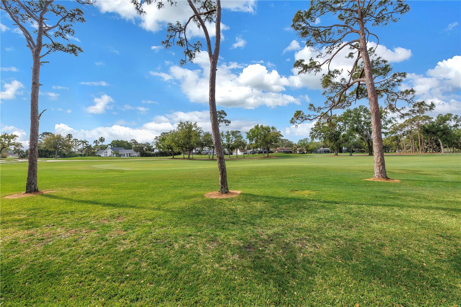 4334 MIRABELLA CIR - Photo 1