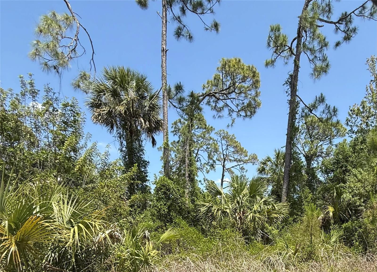 Lot 15 COASTAL ST - Photo 1
