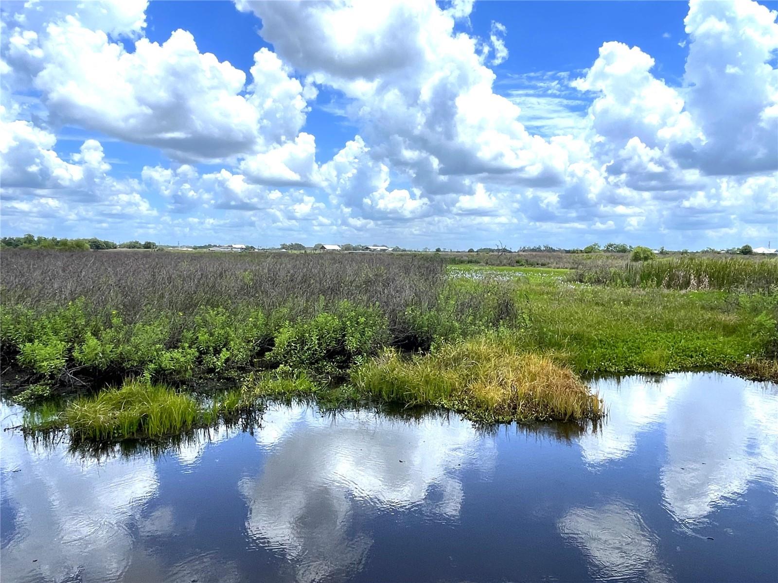 WAUCHULA RD - Photo 1