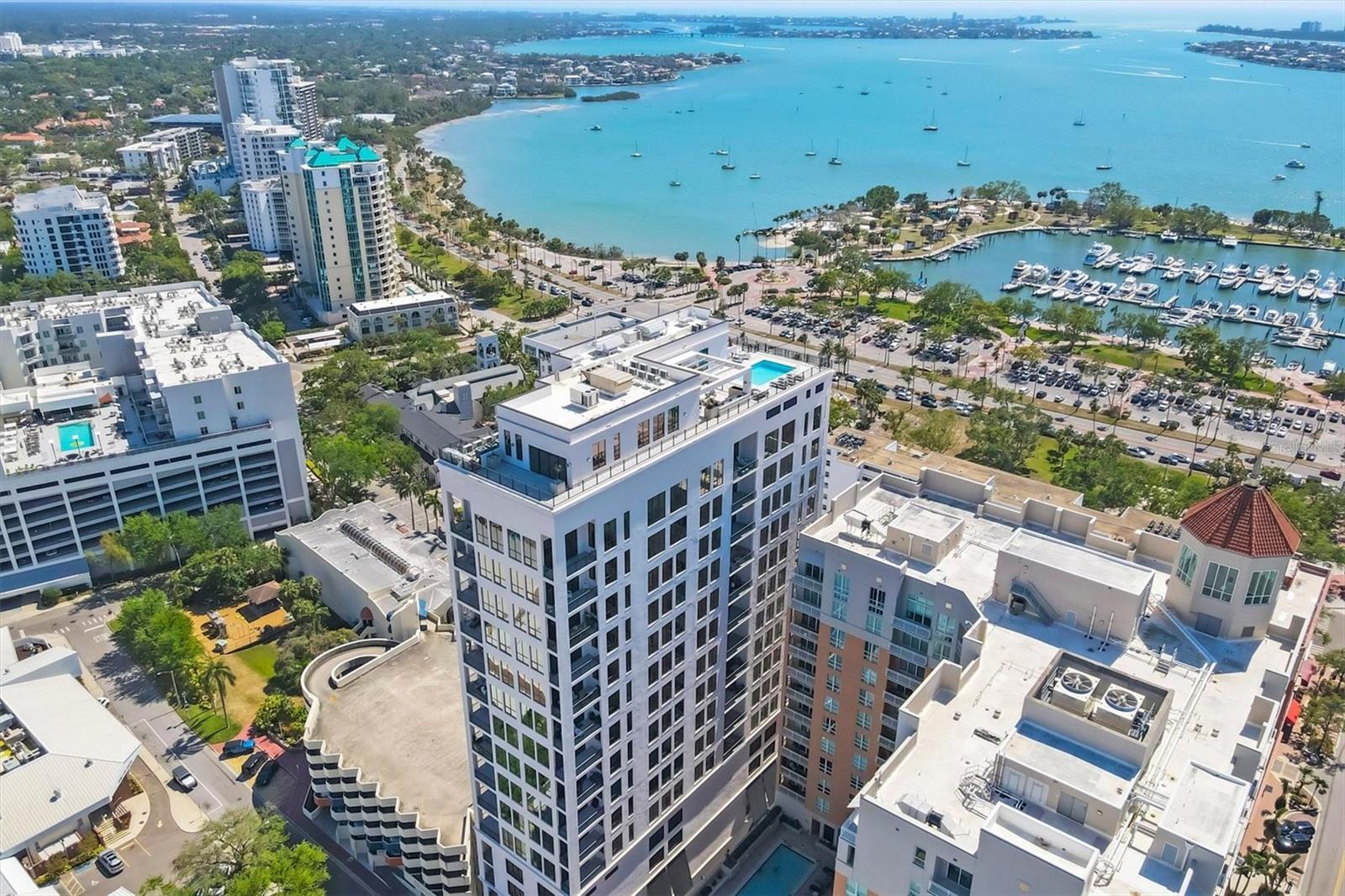 33 S PALM AVE #1503 - Photo 1