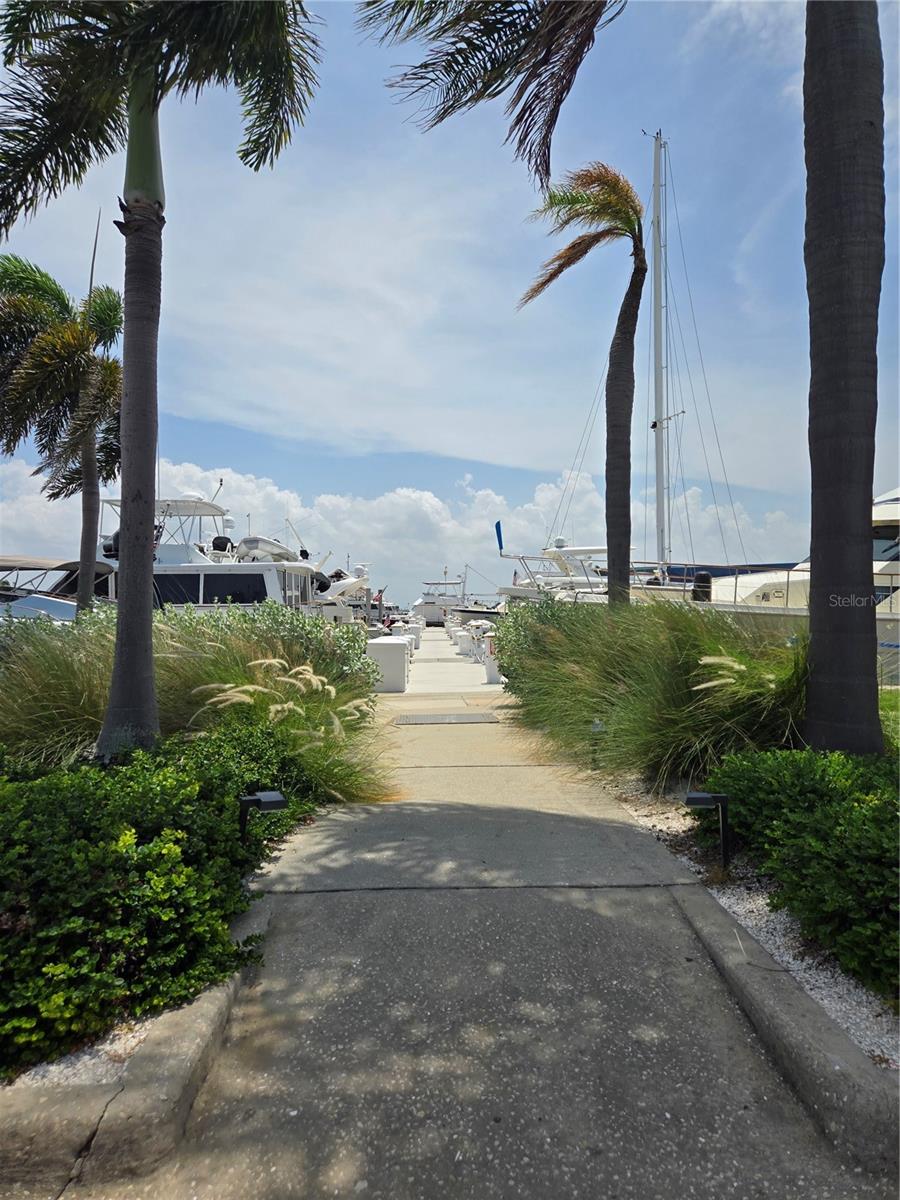 2800 HARBOURSIDE DR #D-16 - Photo 1