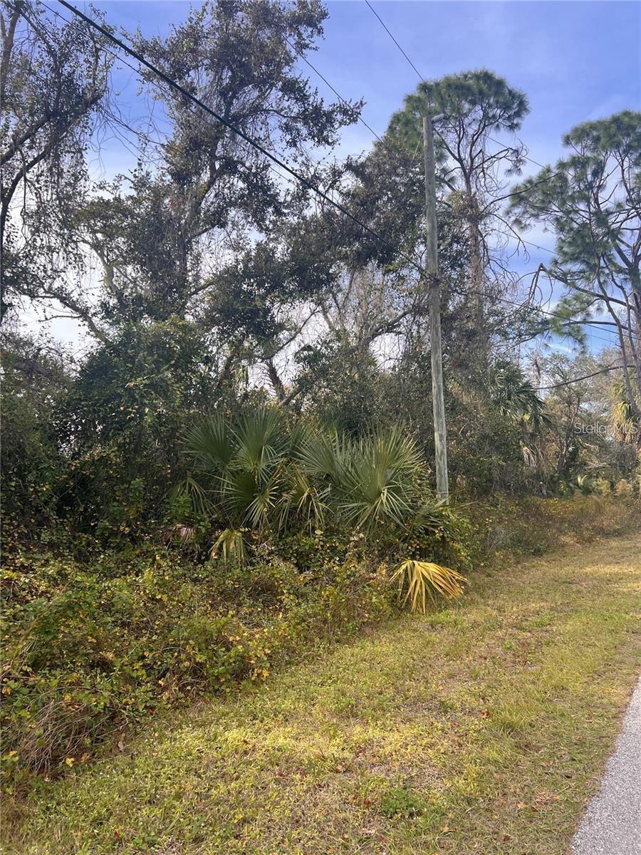 FIREBRAND RD - Photo 1