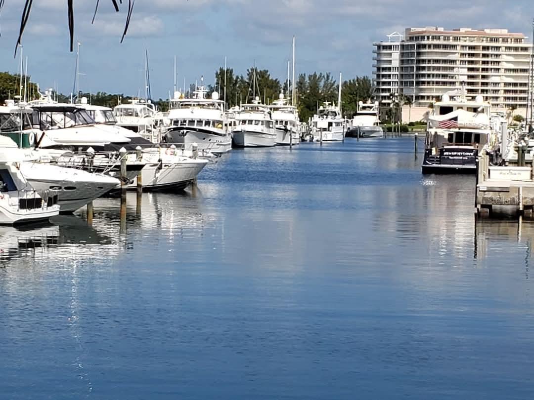 2800 HARBOURSIDE DRIVE DR #M-10 - Photo 1