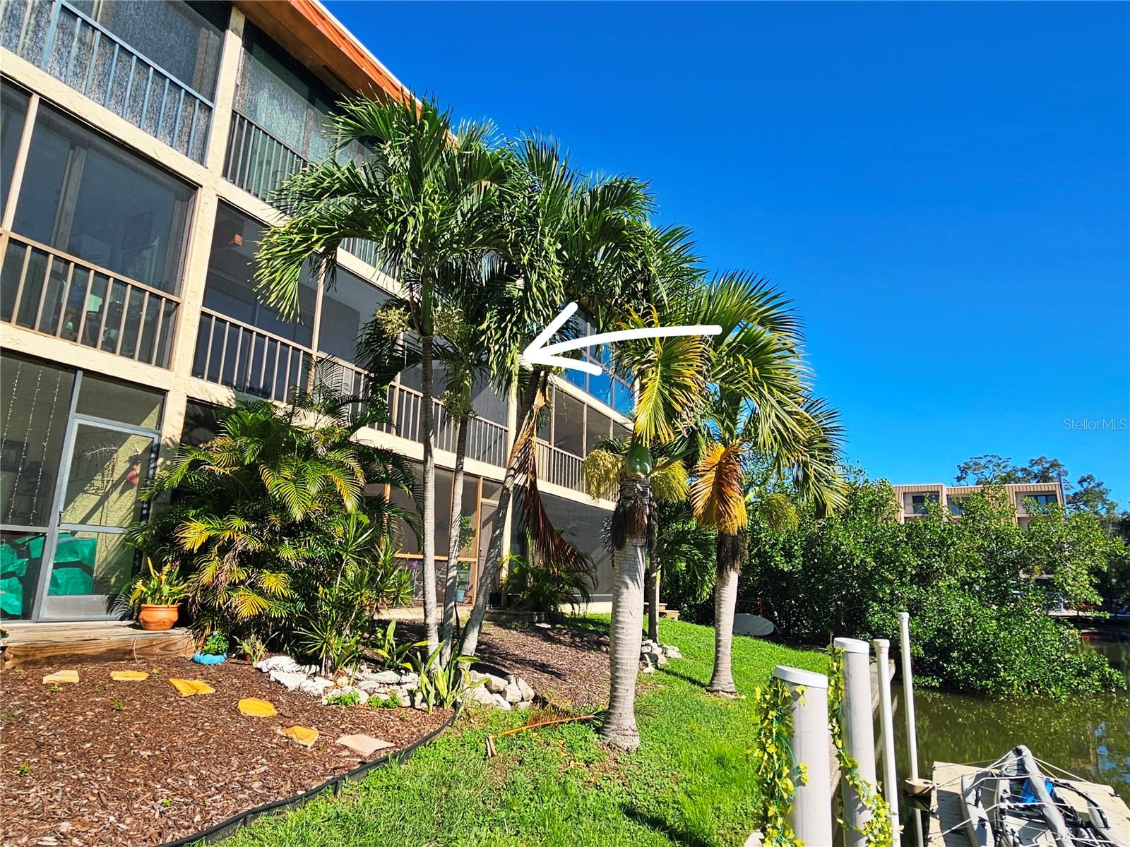 1650 PINE TREE LN #204 - Photo 1