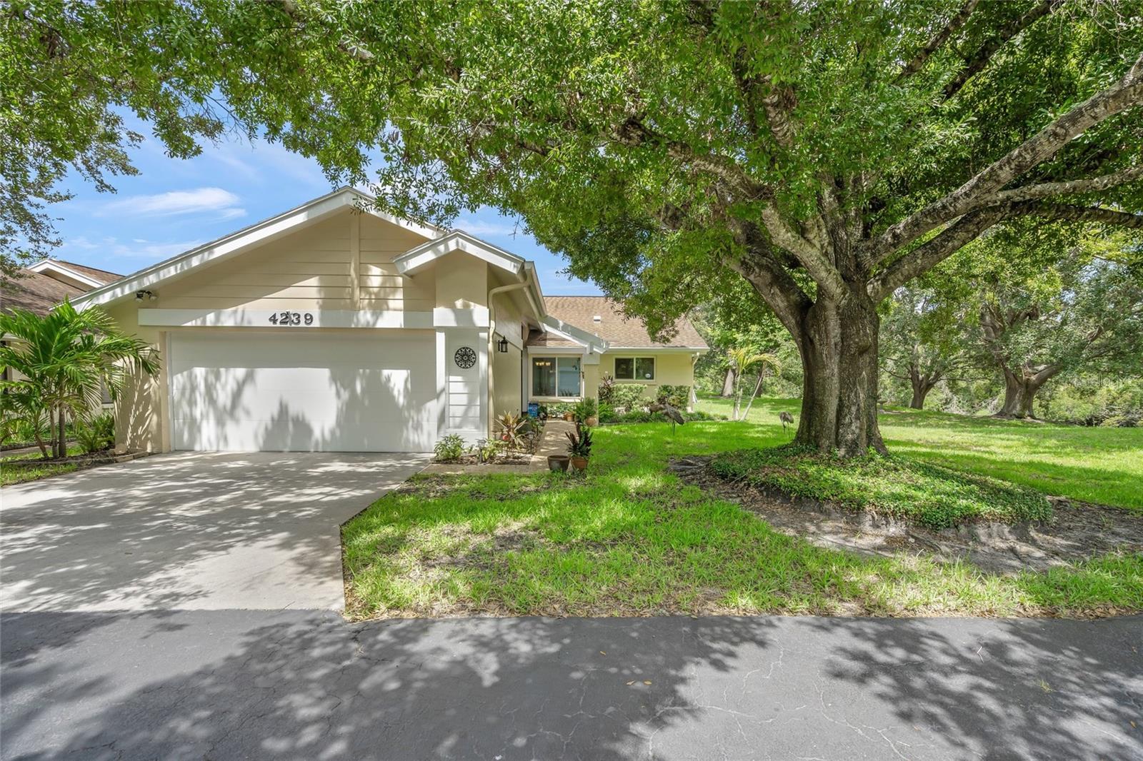 4239 CARRIAGE DR #36 - Photo 1