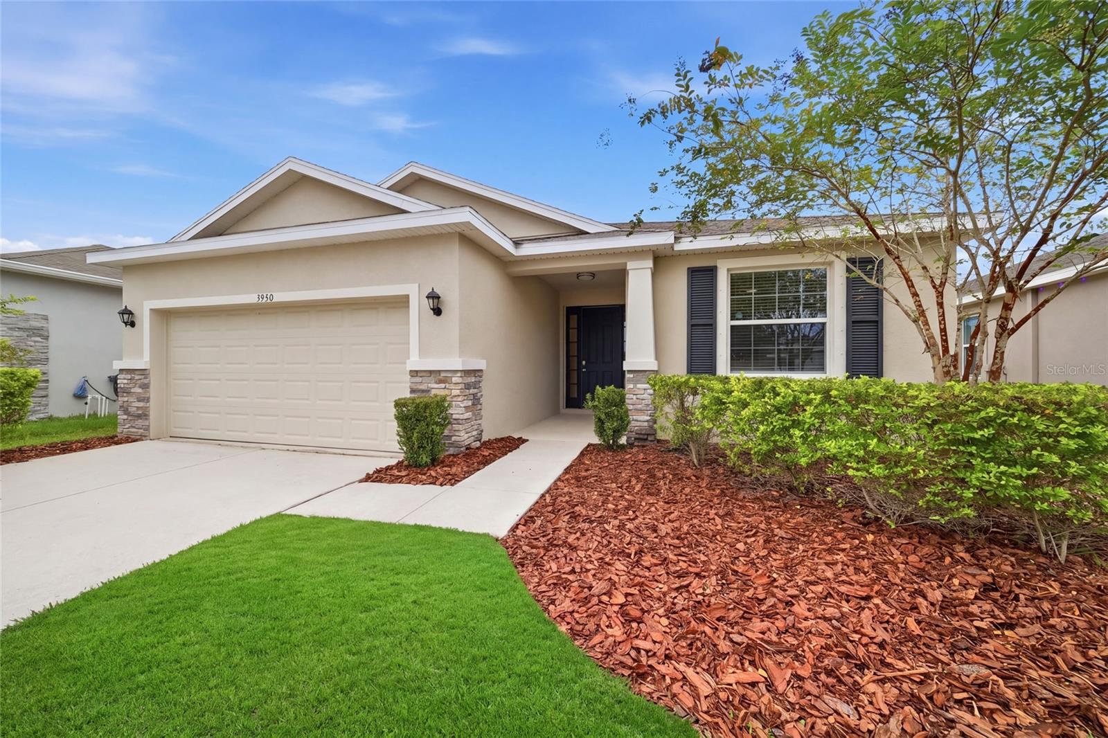 3940 MOSSY LIMB CT - Photo 1