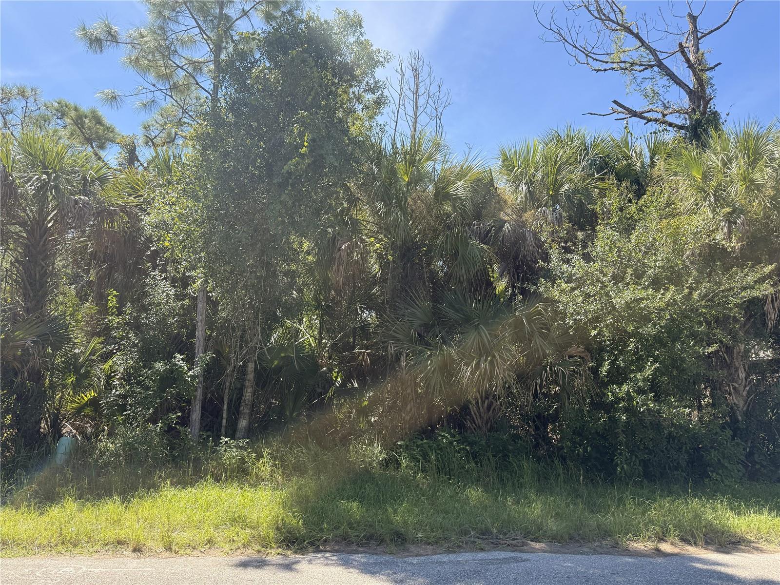 LOT 15 WALMSLEY AVE AVE - Photo 1