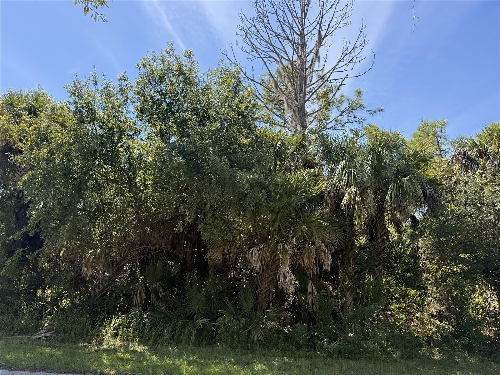 LOT 16 WALMSLEY AVE - Photo 1