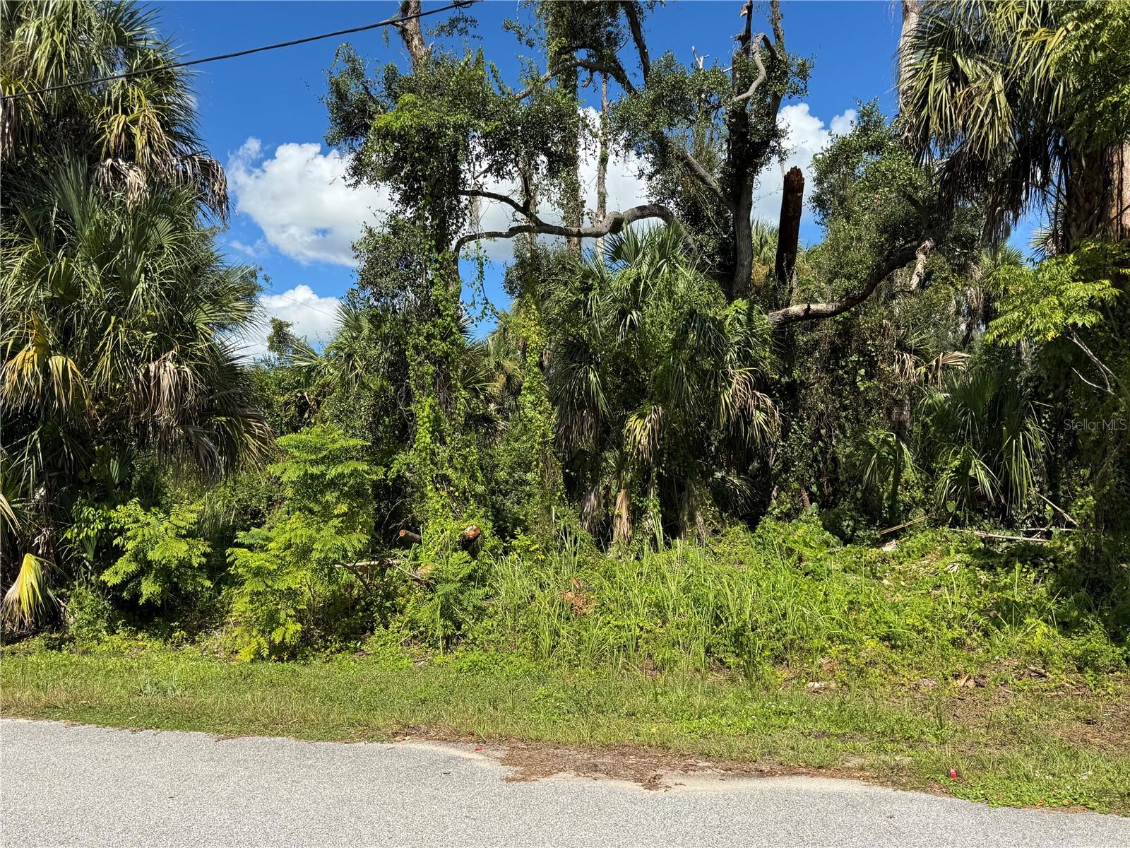 ZAMITA AVE - Photo 1