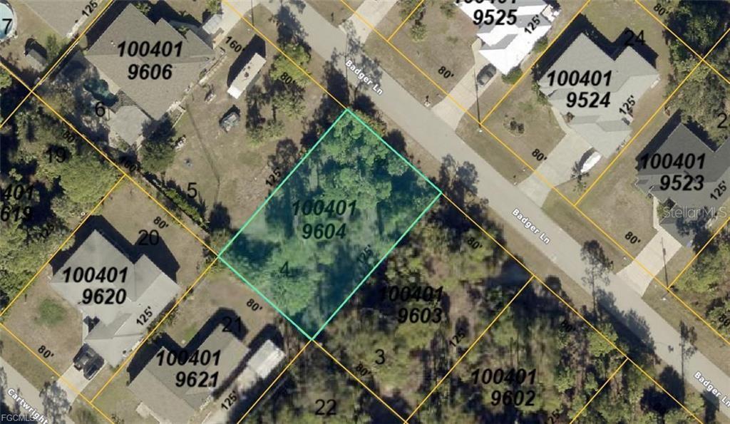1004019604 BADGER LN - Photo 1