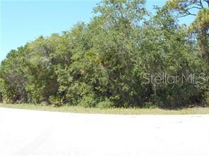 KUMQUAT AVE - Photo 1