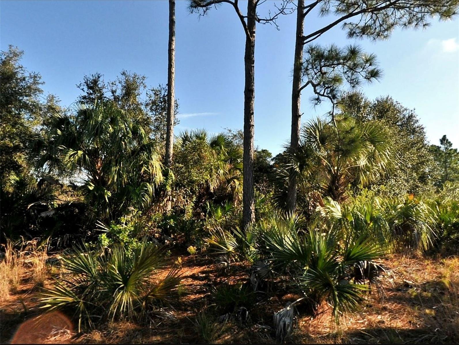 Lot 3 HAMBURG DR - Photo 1