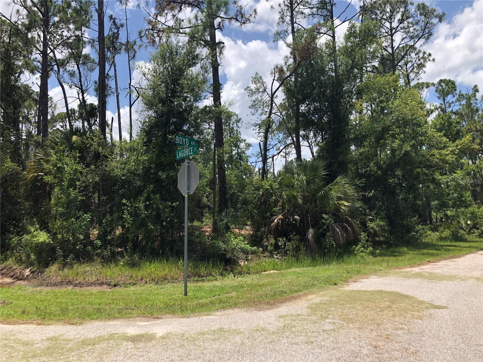 APRICOLA RD - Photo 1