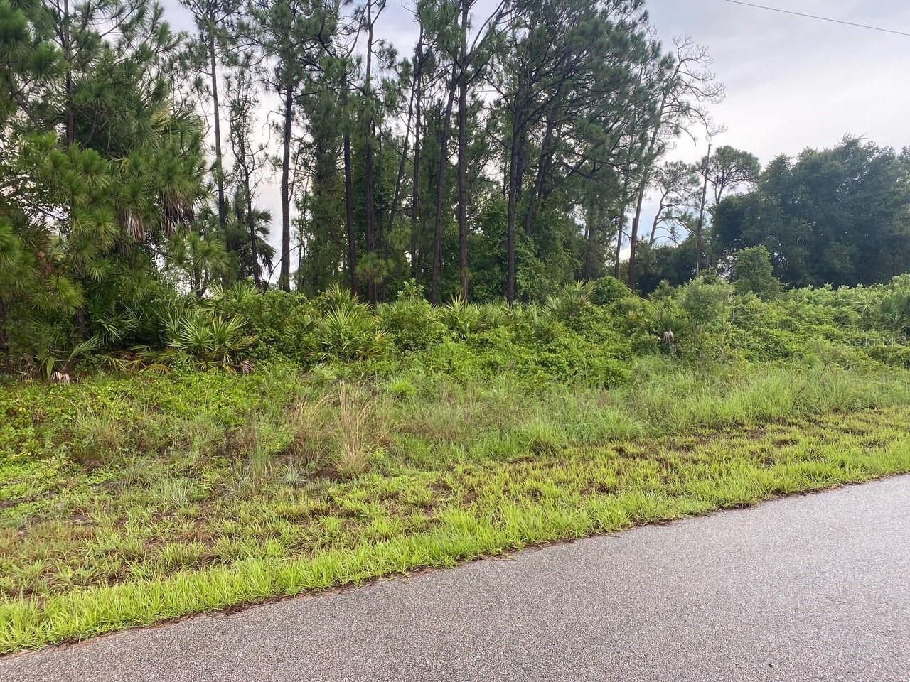 DALEWOOD CIR - Photo 1
