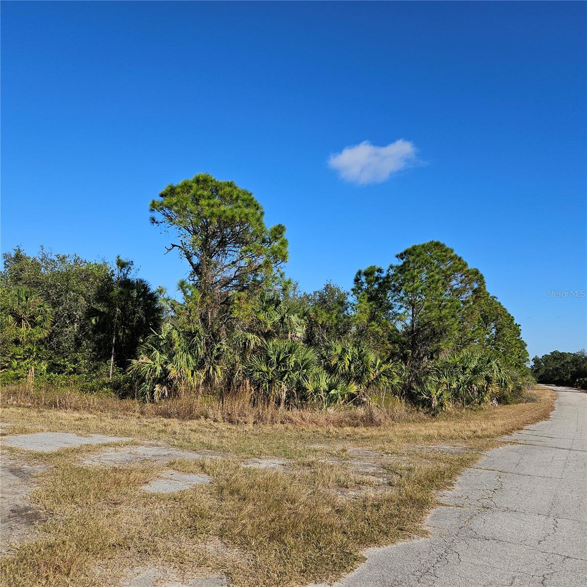 CUSTER CIR - Photo 1