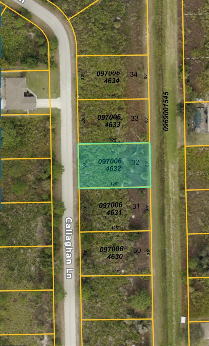 CALLAGHAN LN - Photo 1