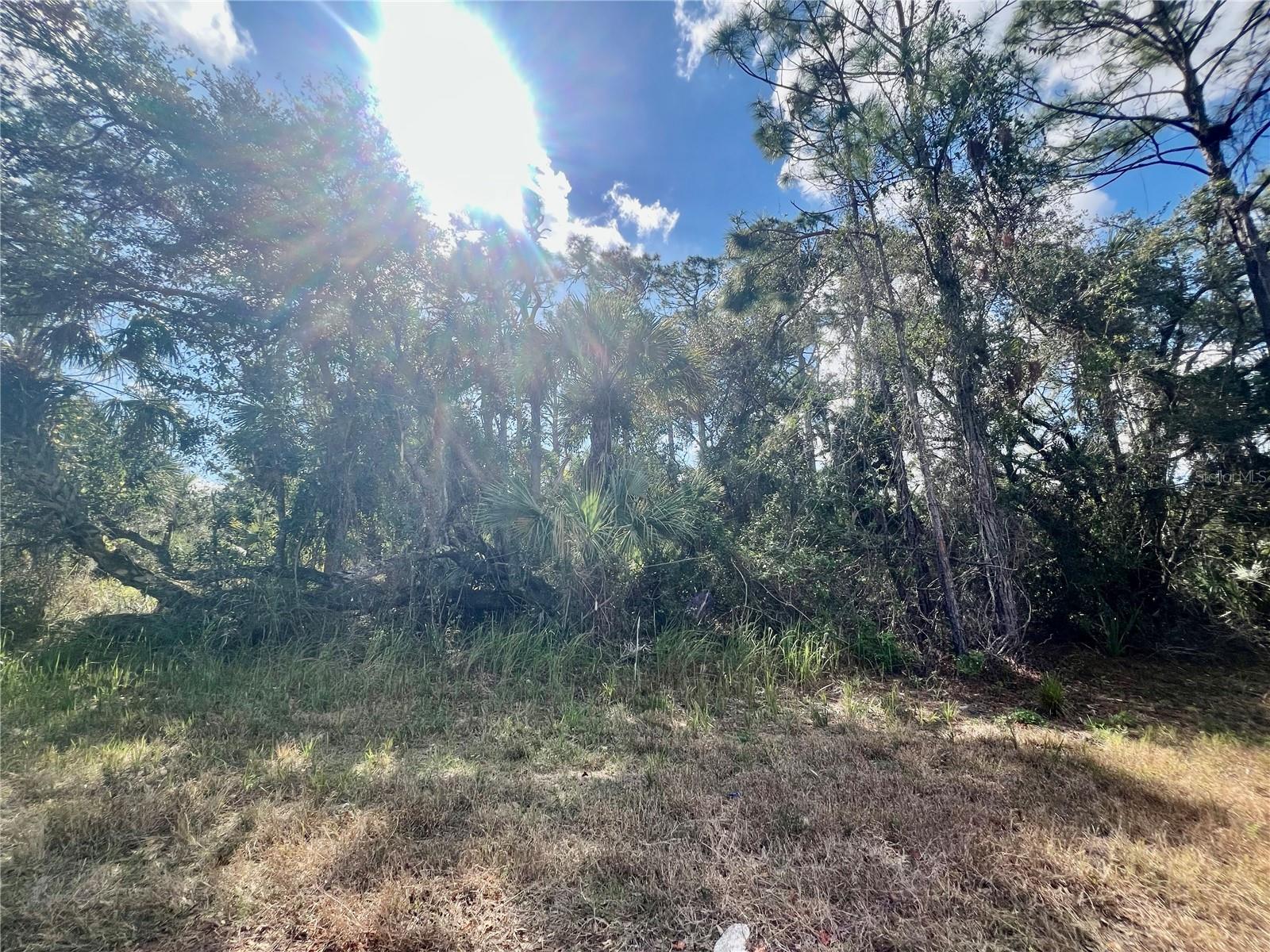 Lot 7 ABBEVILLE RD - Photo 1