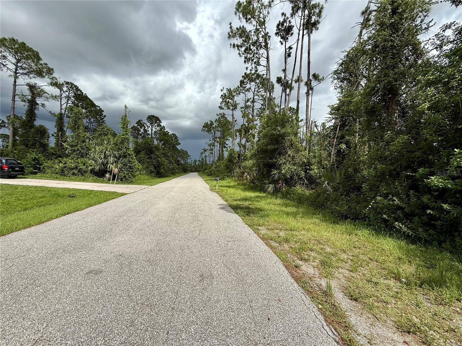DRAGONFLY AVE - Photo 1