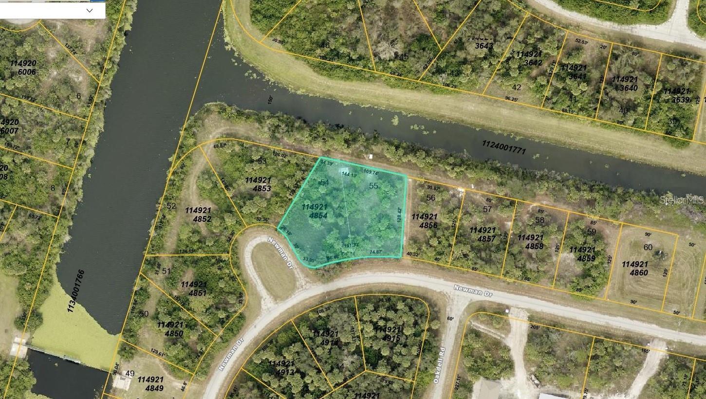 LOT 54 & 55 NEWMAN DR - Photo 1
