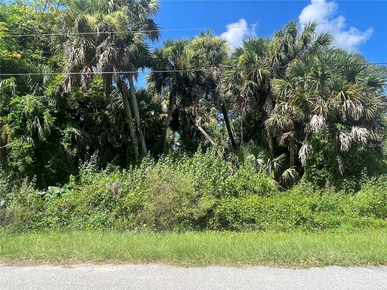 SNYDER (LOT 6 BLOCK 1019) ST - Photo 1