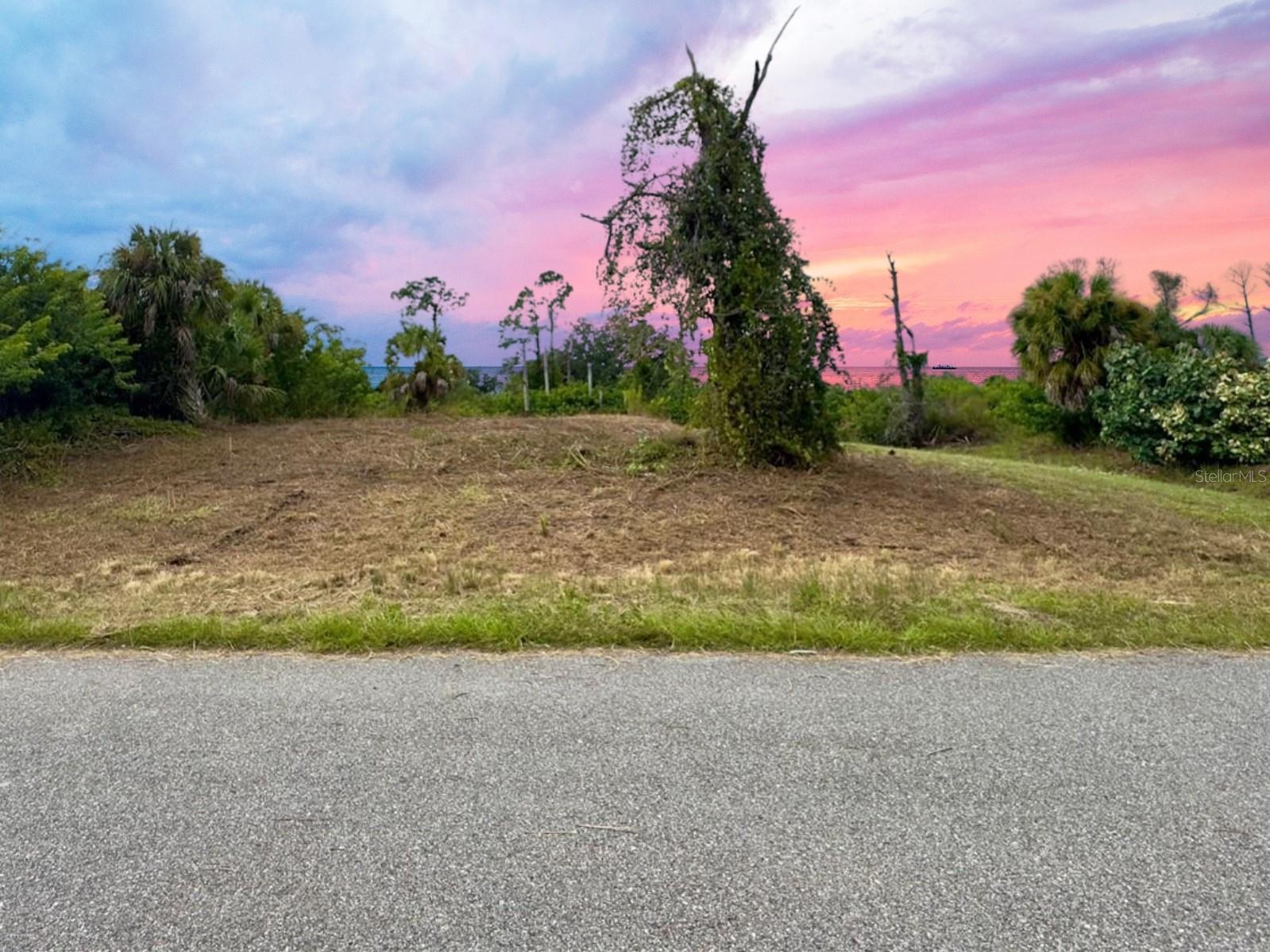 LOT 28 FLORALA ST - Photo 1