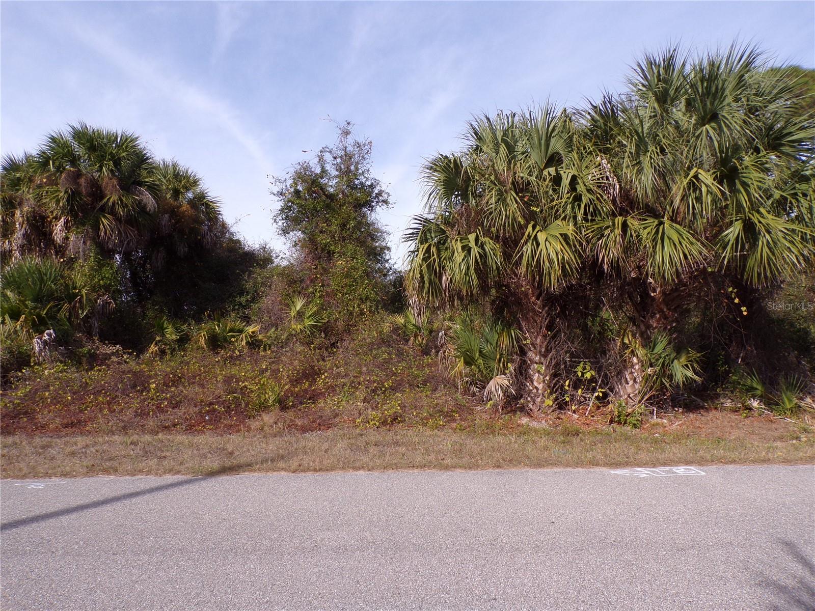 BREWSTER RD - Photo 1
