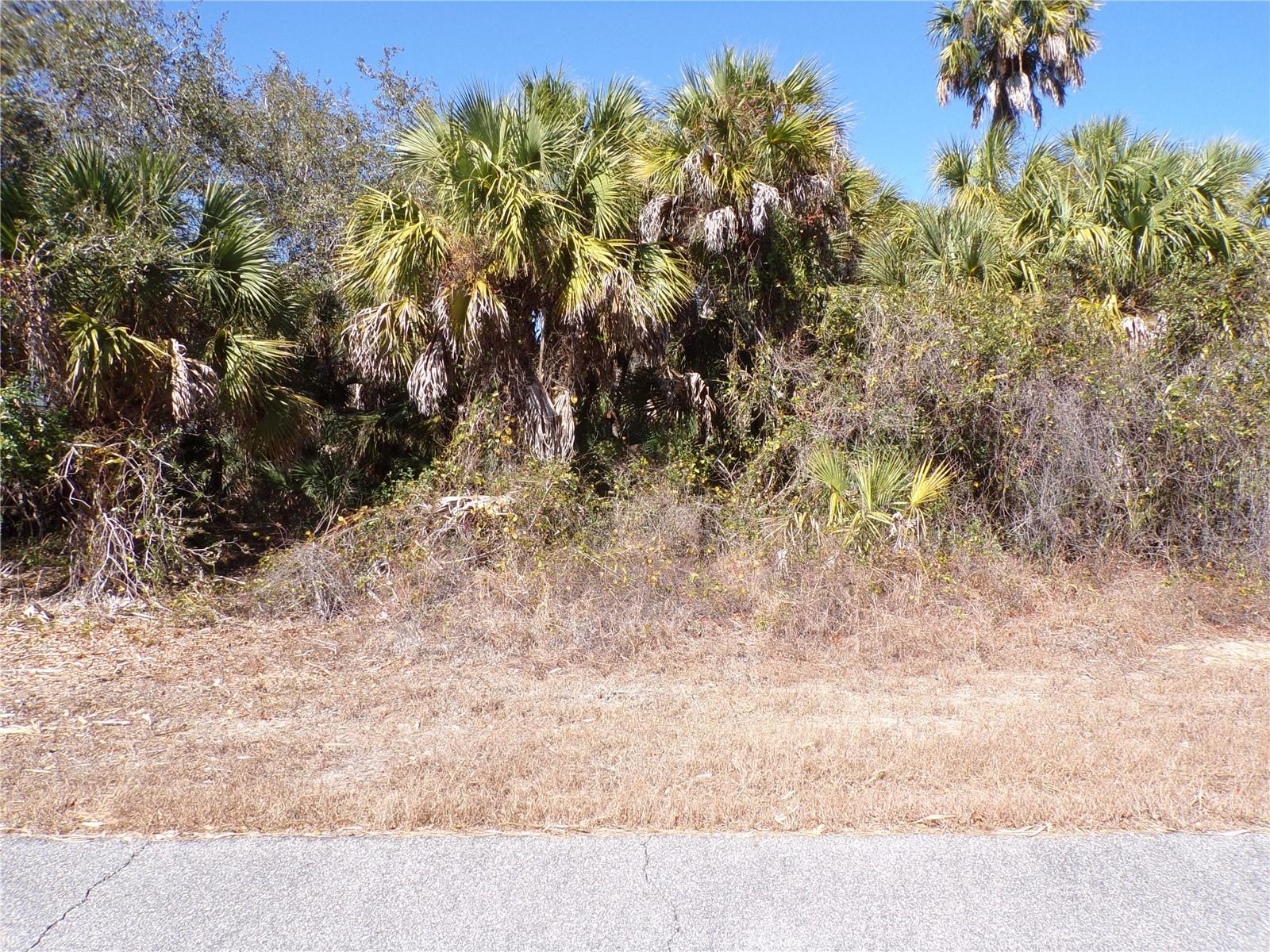 LAS ALMANOS AVE - Photo 1
