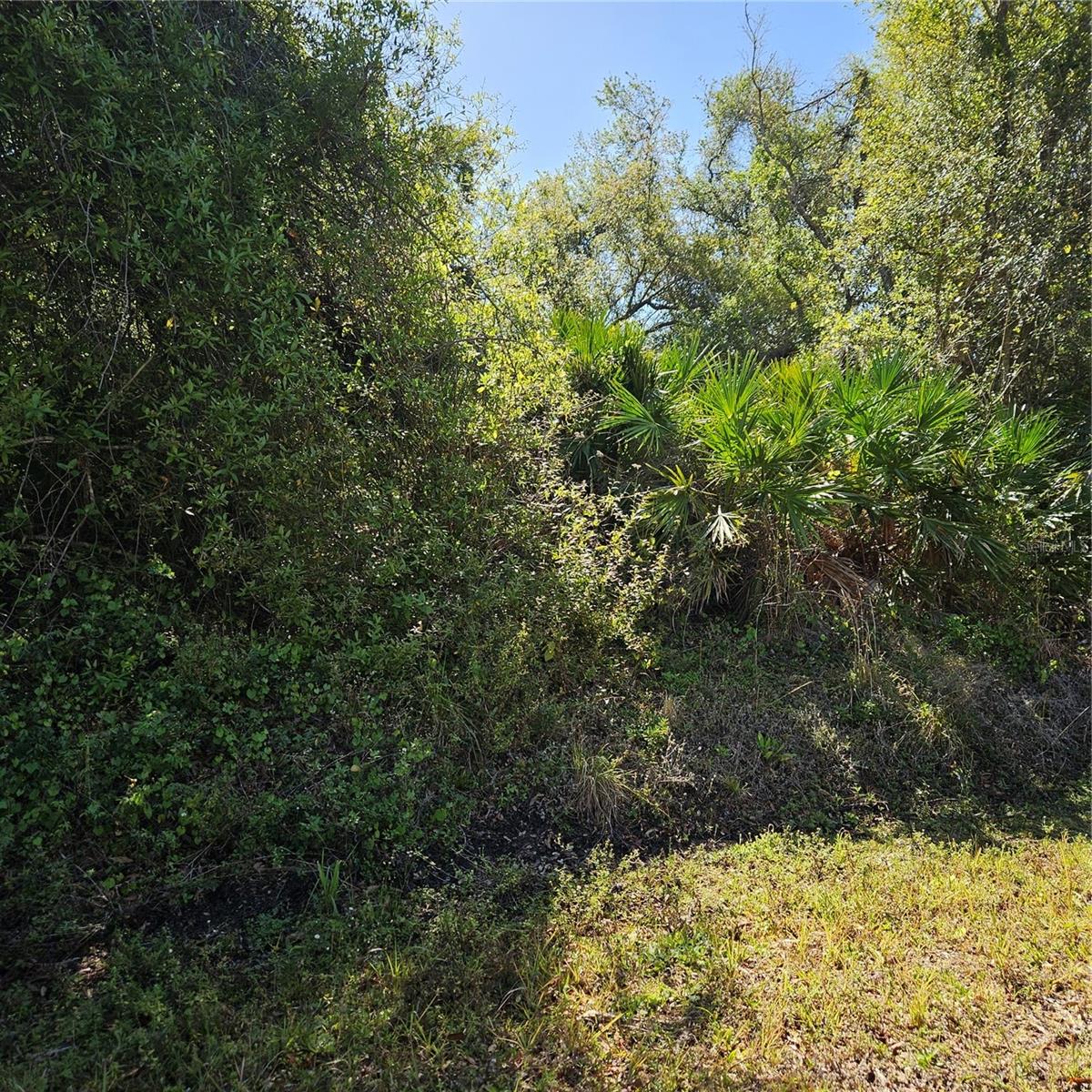 JANARO RD - Photo 1
