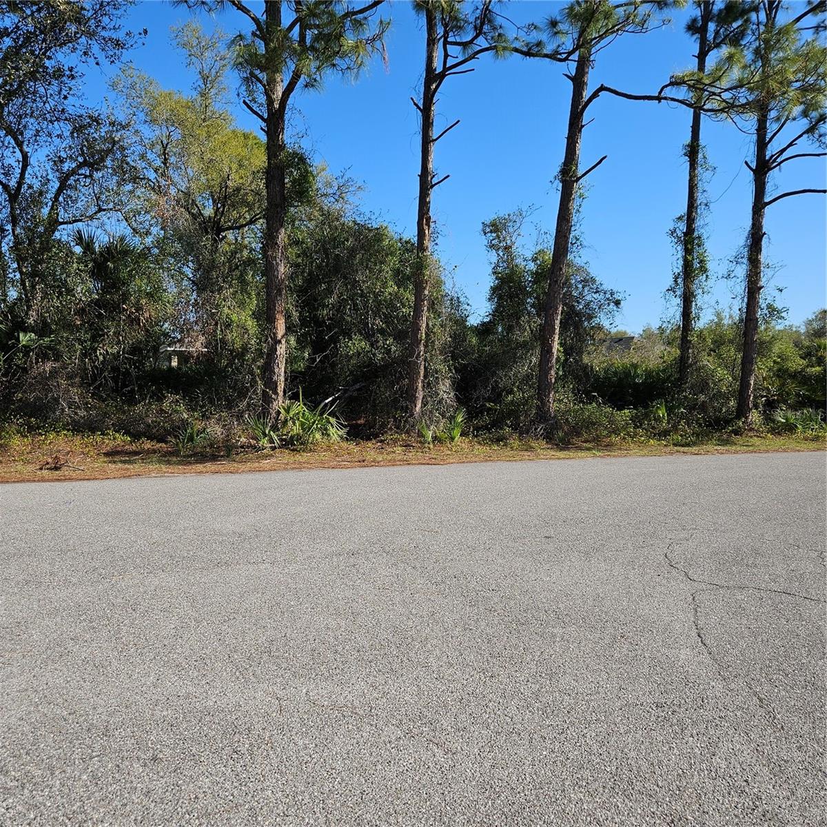 JANARO RD - Photo 1
