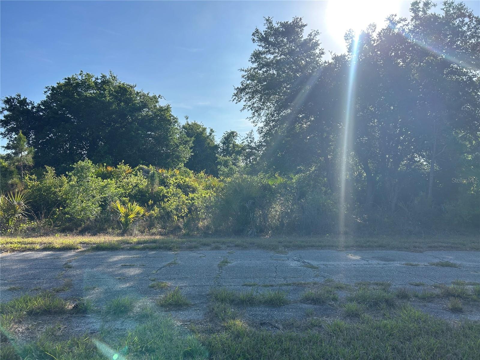 WINTERVILLE CIR - Photo 1