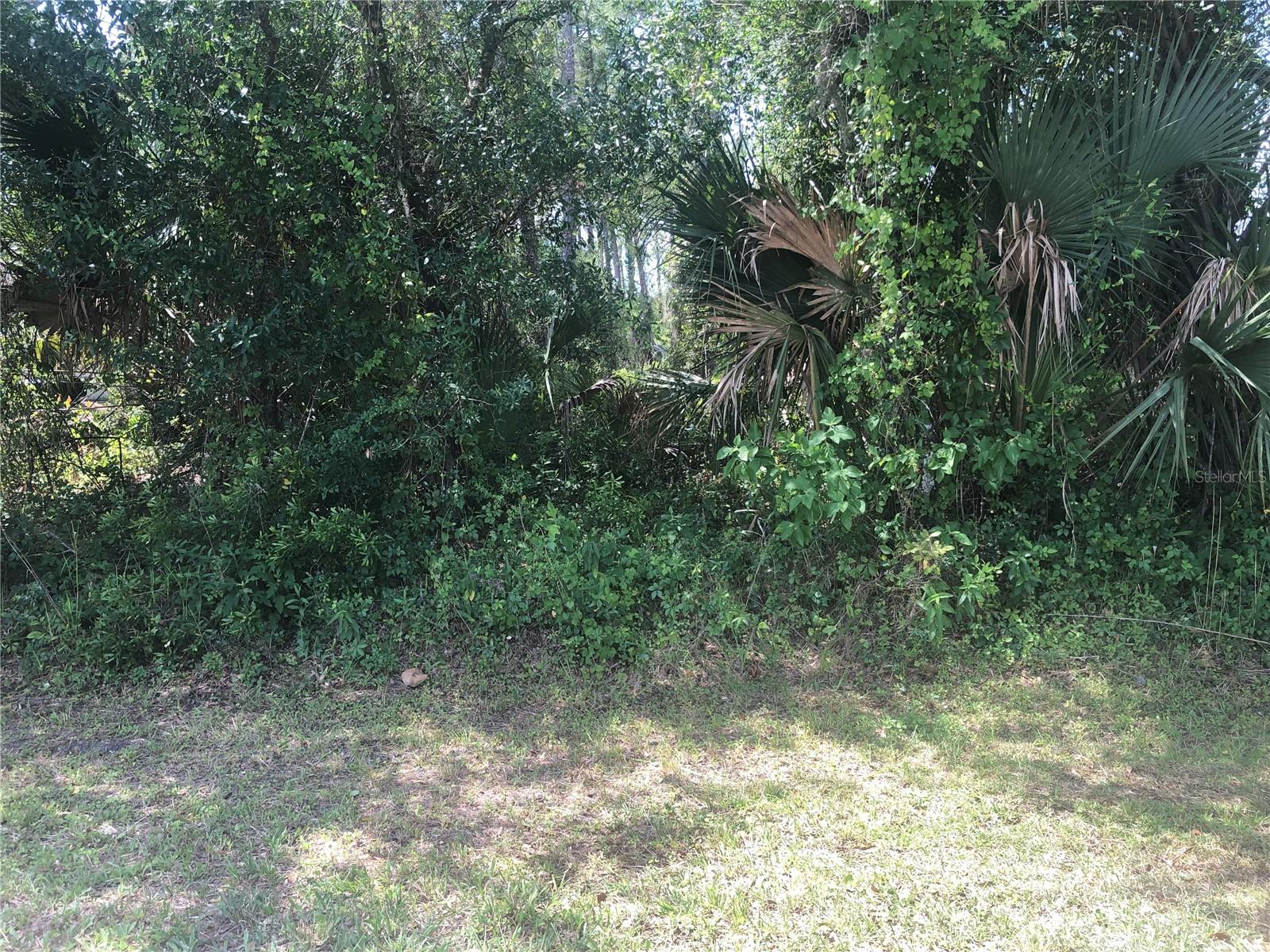CHARLAND AVE - Photo 1