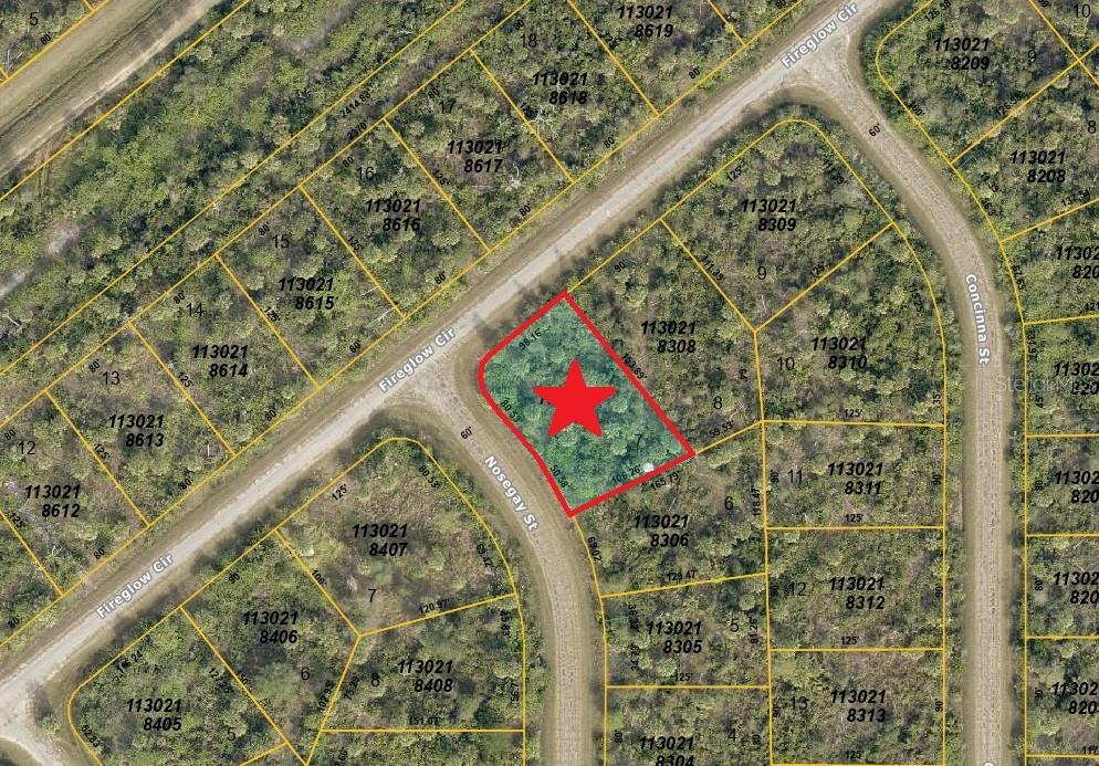 Lot 7 NOSEGAY ST - Photo 1