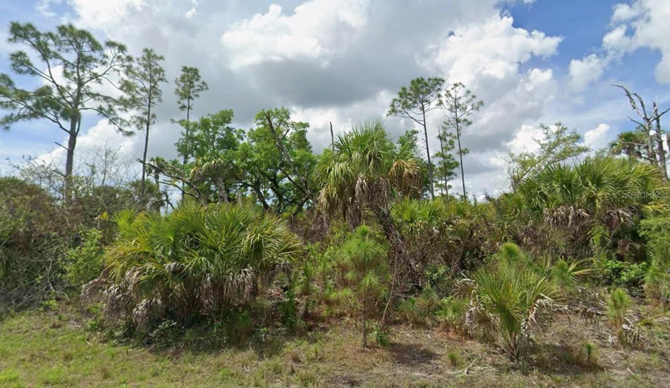 Lot 17 FIREBIRD RD - Photo 1