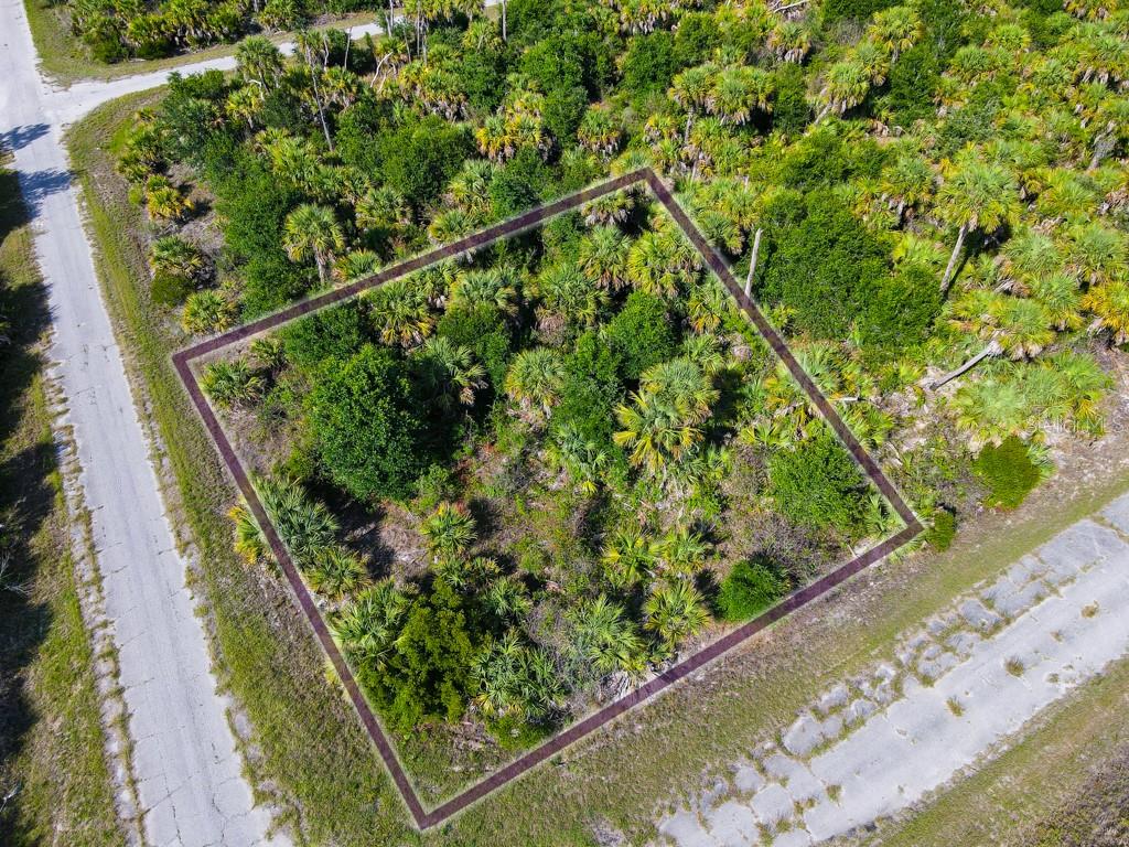 FIREBIRD RD - Photo 1