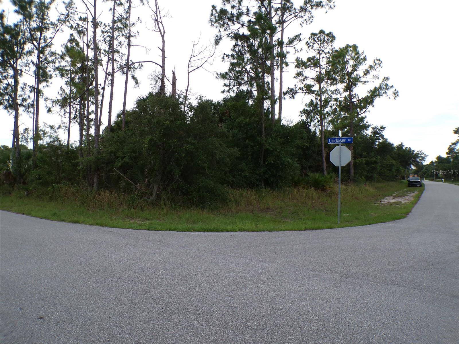 CHICKASAW AVE - Photo 1