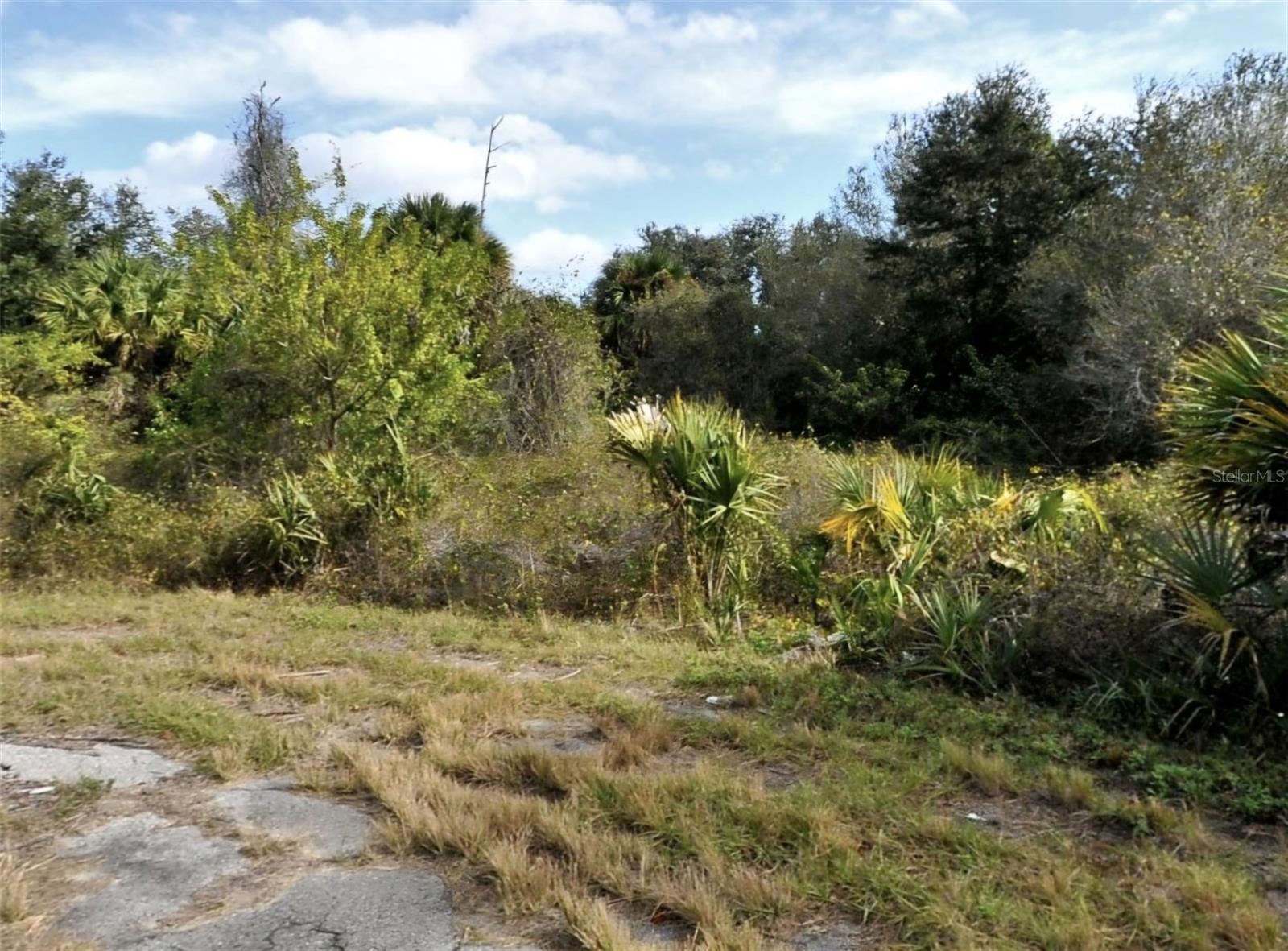 DADE CT - Photo 1