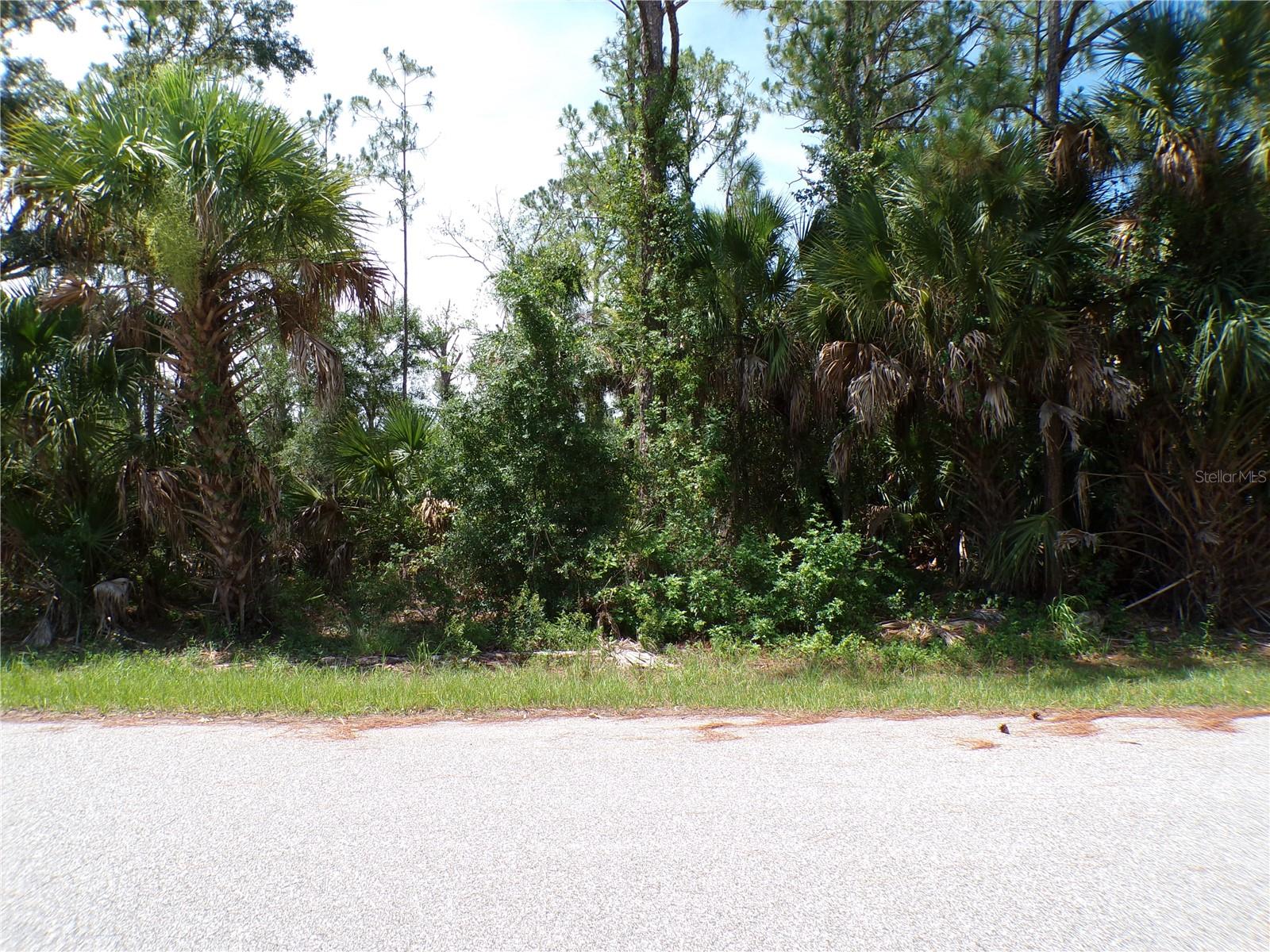 ARMENIA RD - Photo 1
